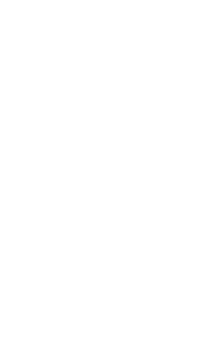 Nobl Ventures Logo White